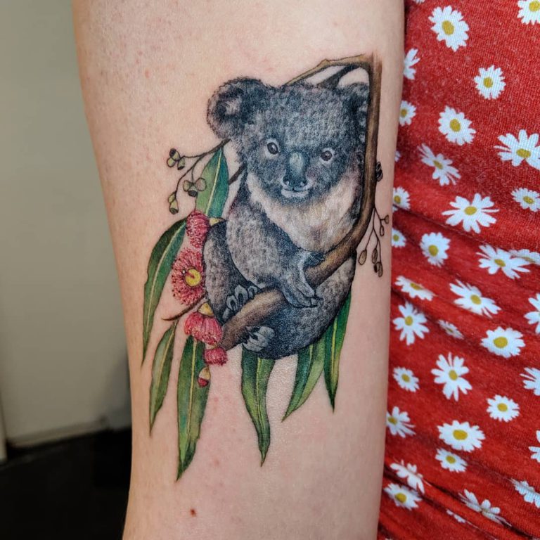 Animal Koala tattoo - Color style by Miss Megs
