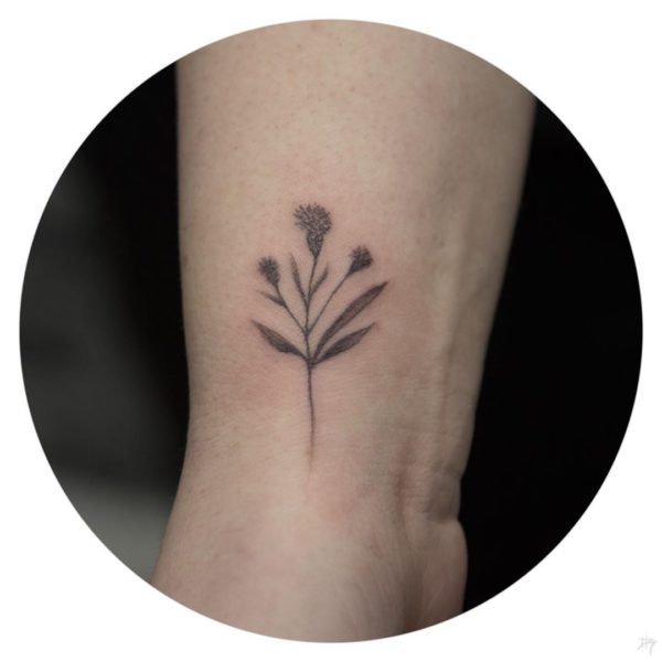 A L I A N I L E R C E L on Instagram  Mimosa tree  Family    Done  aaedesign     tattoo tattooed art tattoos ink inked artwork  artist artistic