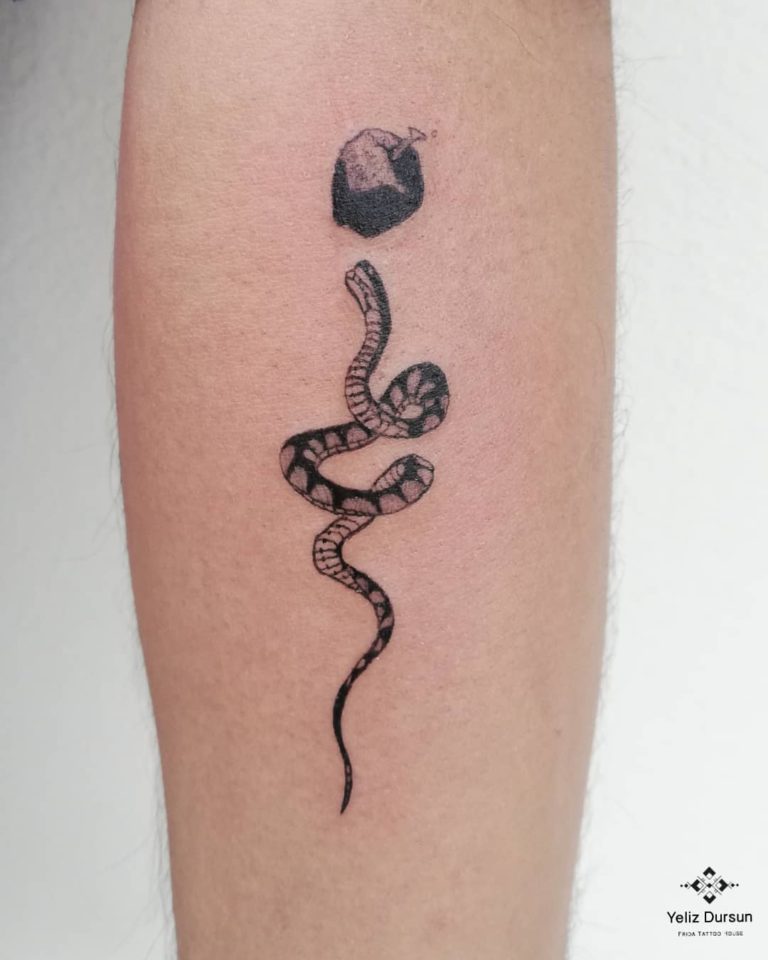 Snake Apple tattoo by Yeliz Ddursunn
