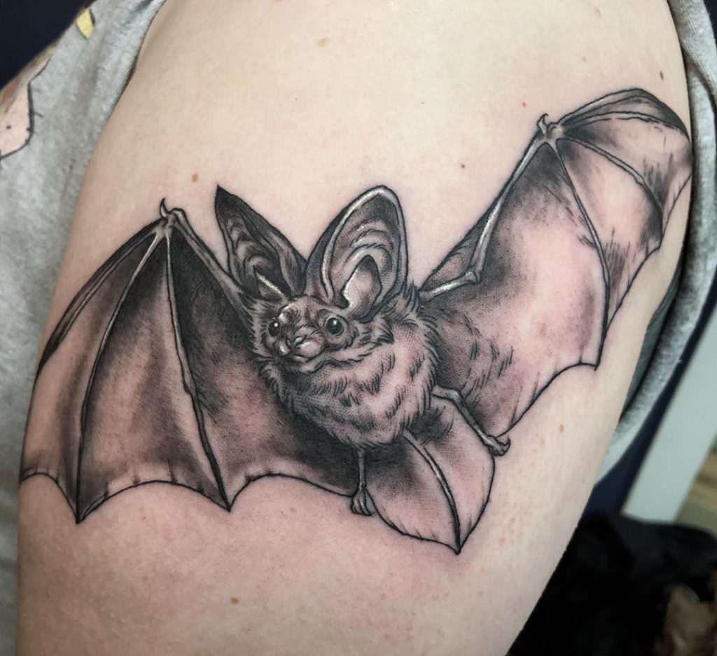 bat    tattoo on  - Black and Grey style by Carli Ihde