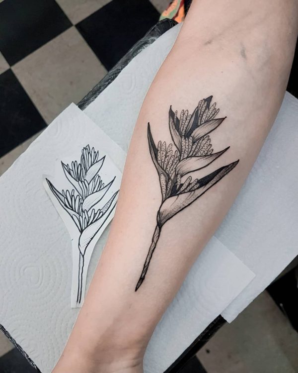 Tattoo by <a href="https://tattoolist.co/artist/mazucaink/">mazucaink</a>