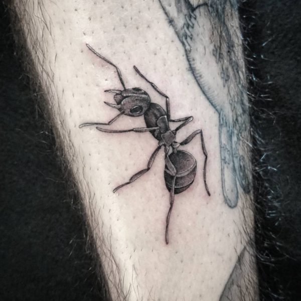 Tattoo by <a href="https://tattoolist.co/artist/antonio__dangelo/">Antonio D'Angelo</a>