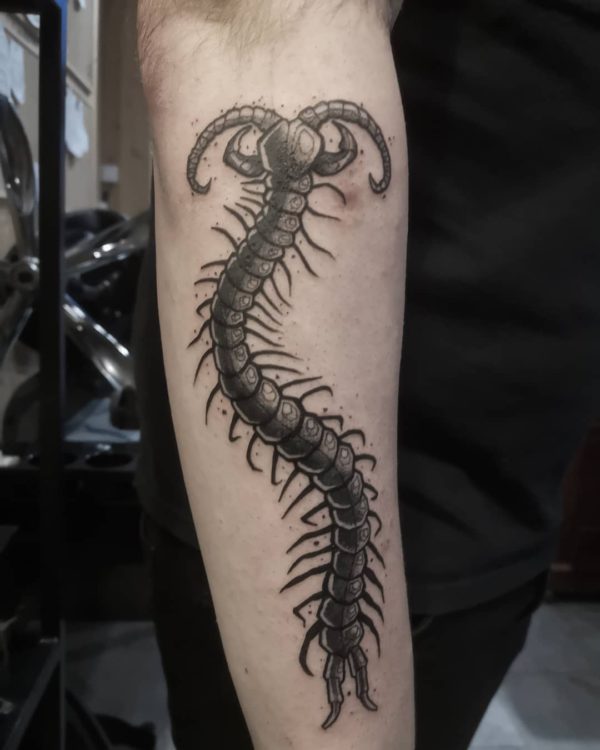 Tattoo by <a href="https://tattoolist.co/artist/the_silver_fox_/">TATTOO ART-DRAW</a>