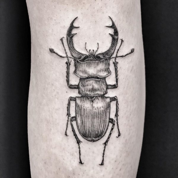 Tattoo by <a href="https://tattoolist.co/artist/mario_millisterfer/">Mario Millisterfer</a>