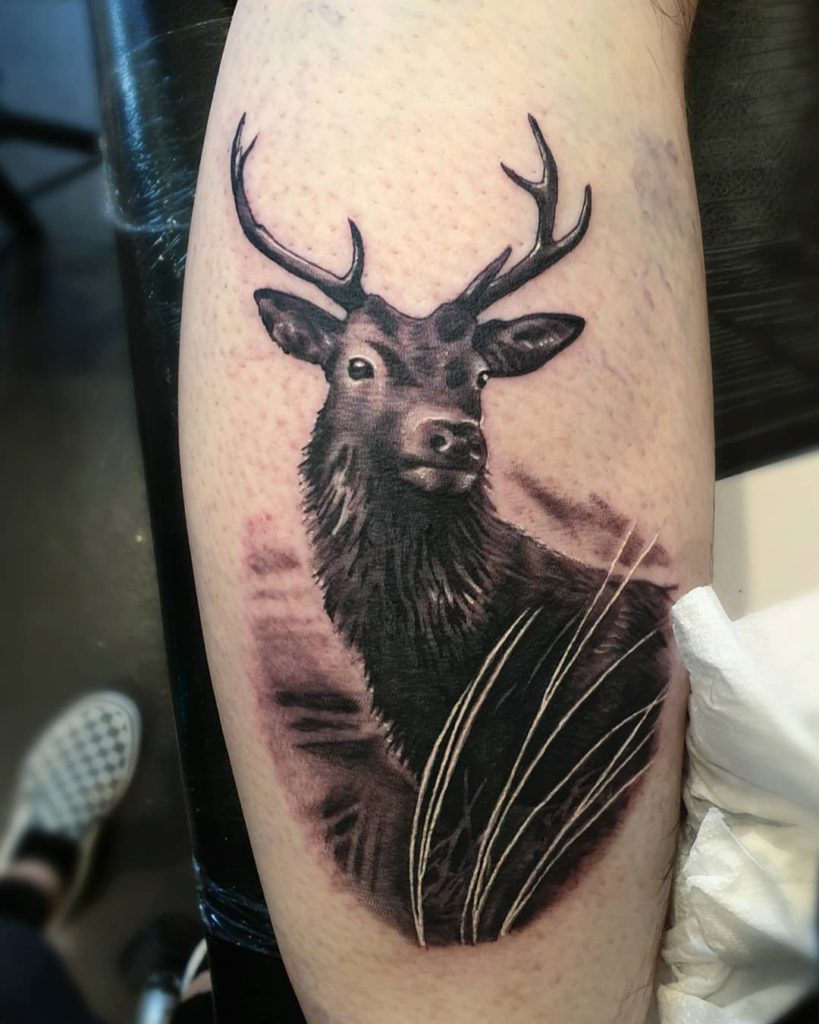 Stag tattoo by Lisa Scrimgeour
