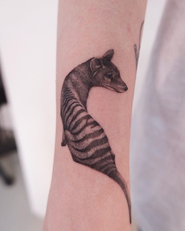 Tattoo by <a href="https://tattoolist.co/artist/tomagematoma/">Toma</a>