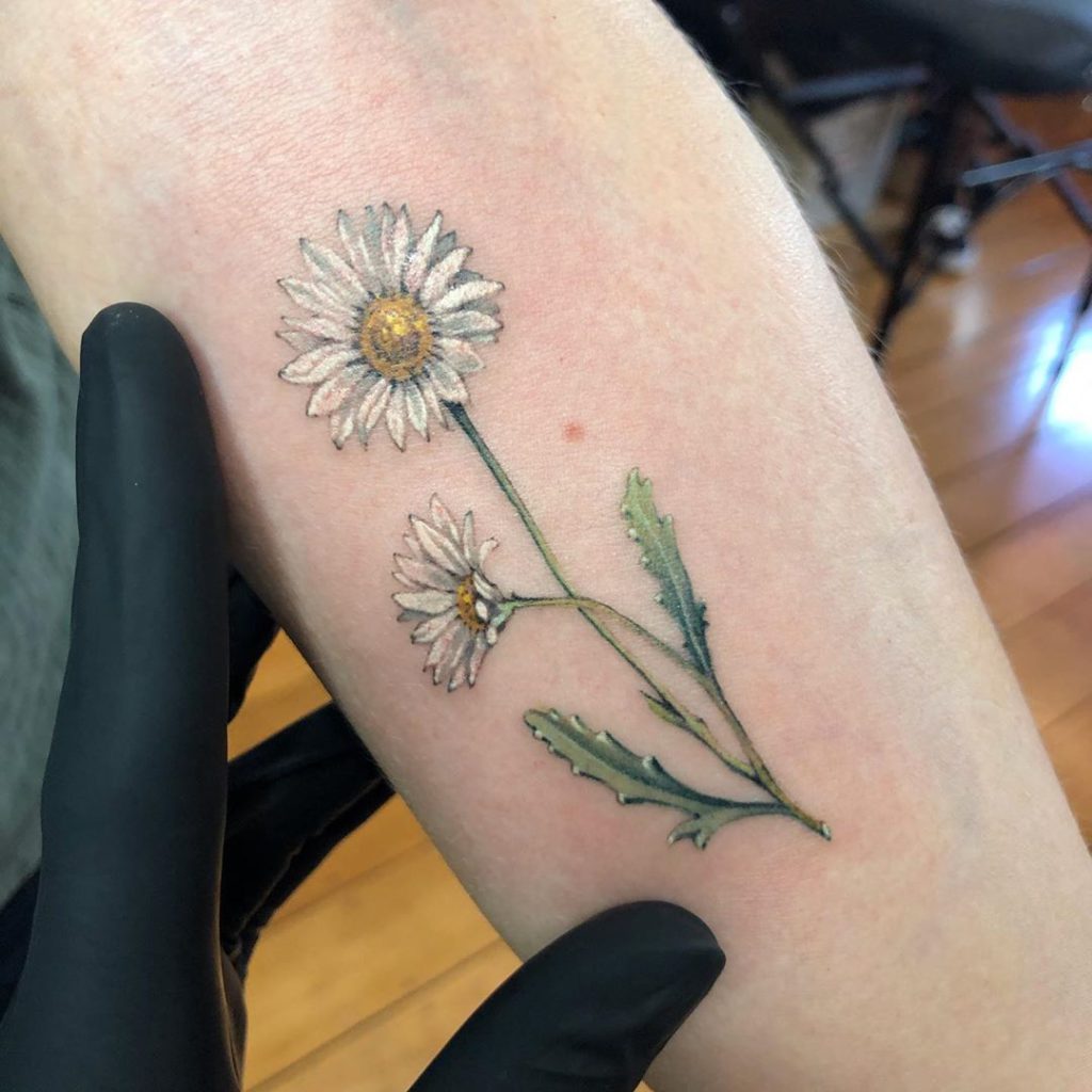 April Birth Flower Tattoo Daisy  Sweet Pea  Tattoo Glee