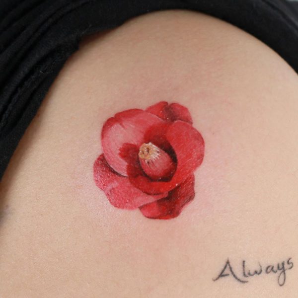 Tattoo by <a href="https://tattoolist.co/artist/tattooist_doy/">Doy</a>