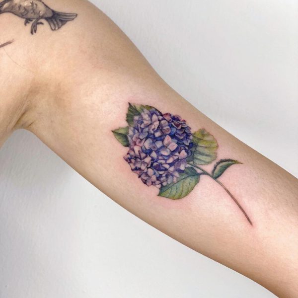 Tattoo by <a href="https://tattoolist.co/artist/thamjerene/">tangerine</a>