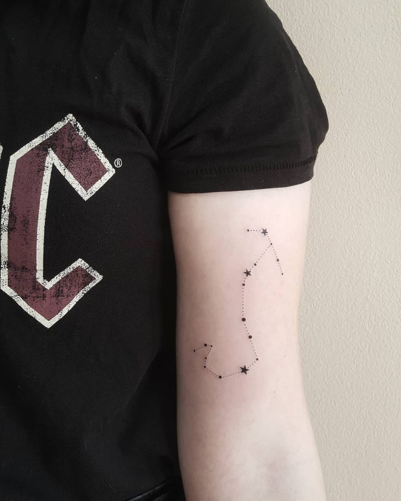 Scorpio tattoo on Arm (inner) - Blackwork style by Magdalena Rapacz-Jurek